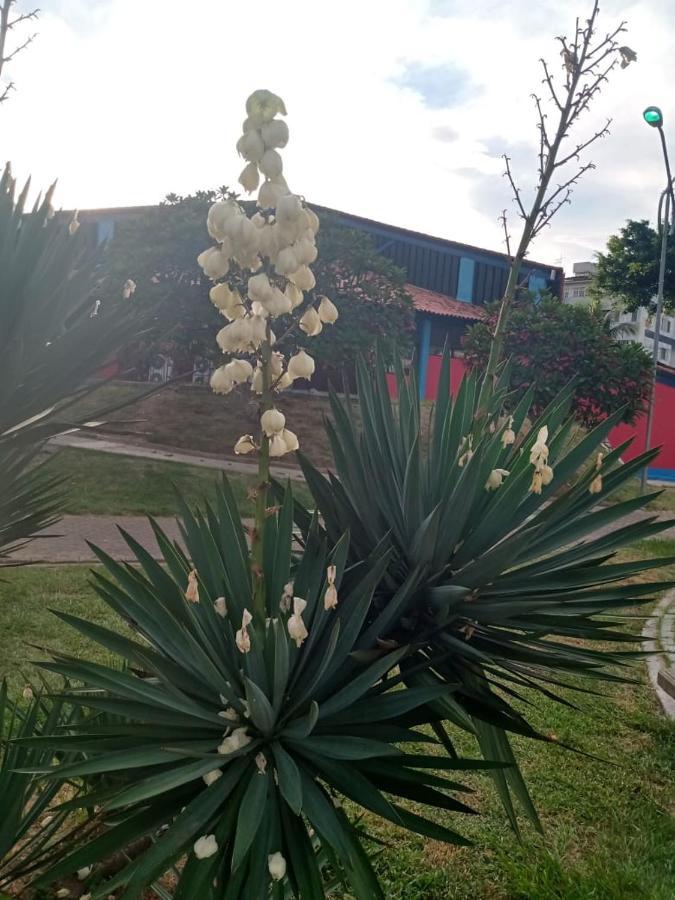 Apartamento Mobiliado 10 Minutos Da Praia Do Forte Cabo Frio Eksteriør bilde